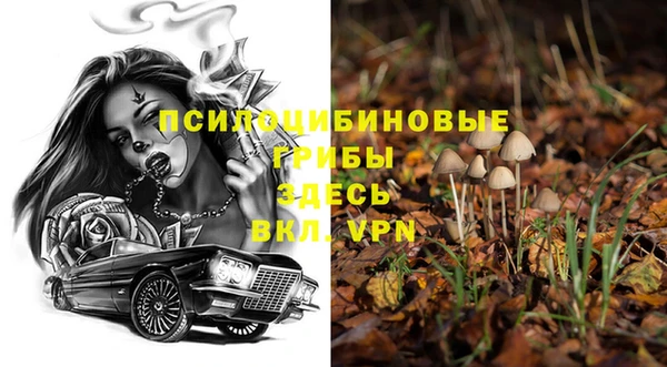 spice Гусиноозёрск