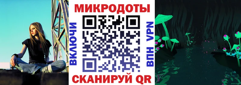 Галлюциногенные грибы Psilocybe  Салехард 